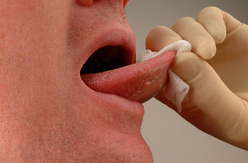 Oral Examination